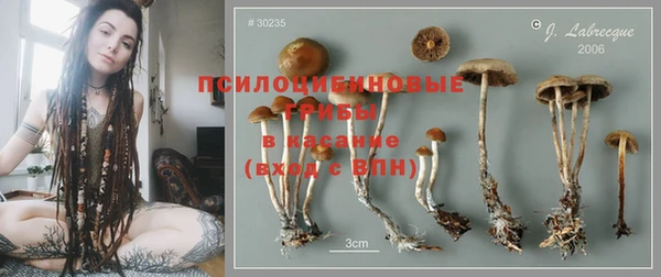 таблы Богданович