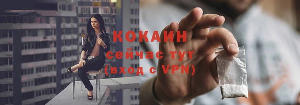 кокс Богородицк