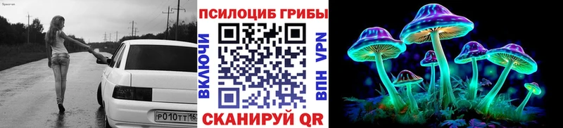 закладки  Великий Новгород  Псилоцибиновые грибы прущие грибы 